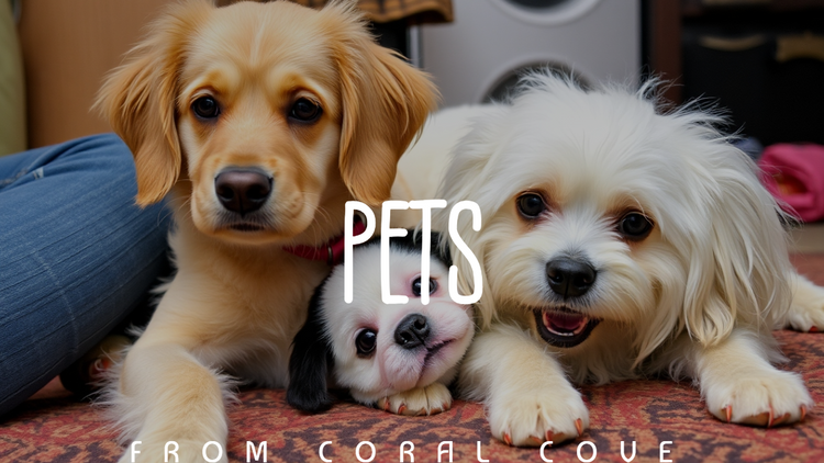 Pets