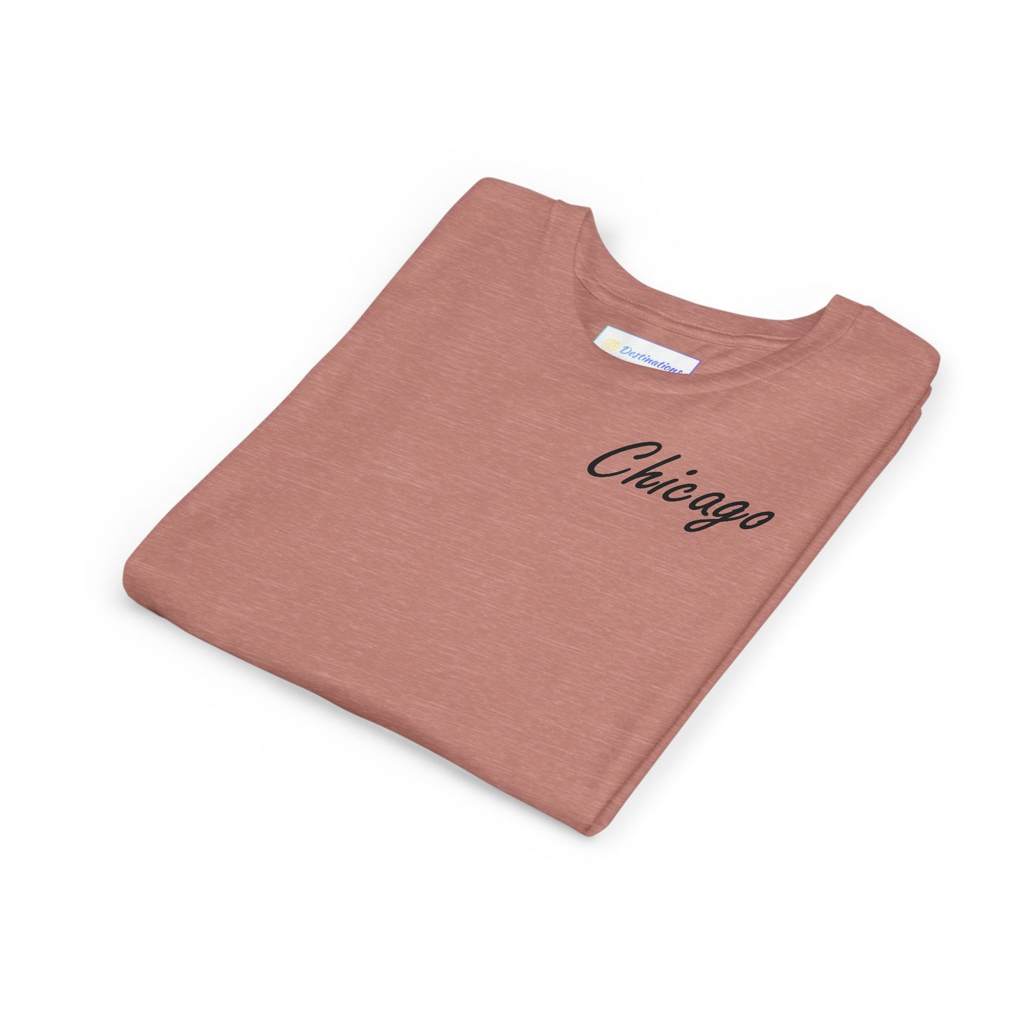 Elegant Chicago Skyline Unisex Youth Short Sleeve Tee