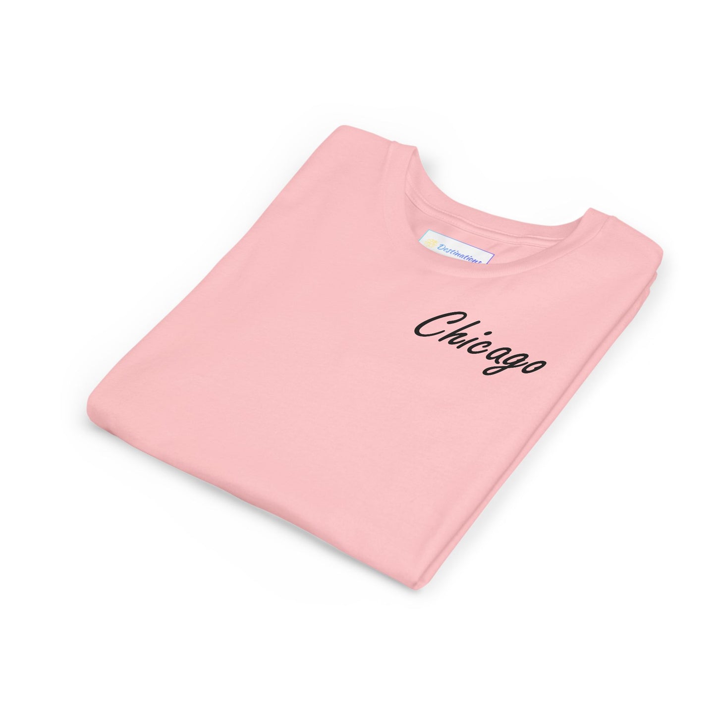 Elegant Chicago Skyline Unisex Youth Short Sleeve Tee