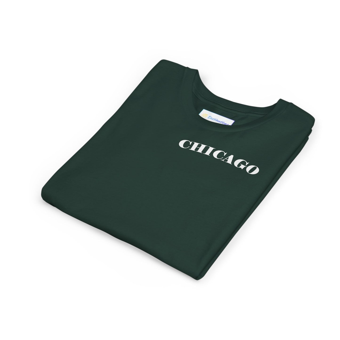 Mystery Noir Chicago Skyline Sunset Unisex Youth Short Sleeve Tee