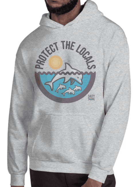 Salty Soul Dolphin Hoodie
