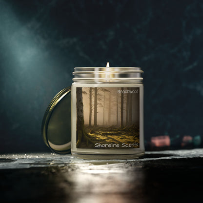 Beachwood Scented Coconut Apricot Wax Candle