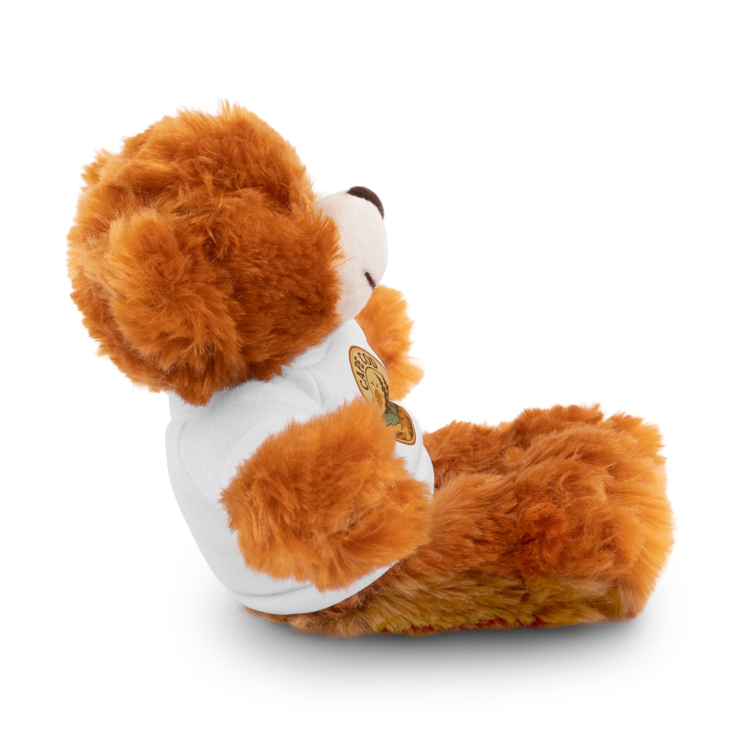 Rustic Cape Cod Stuffed Animals with Tee