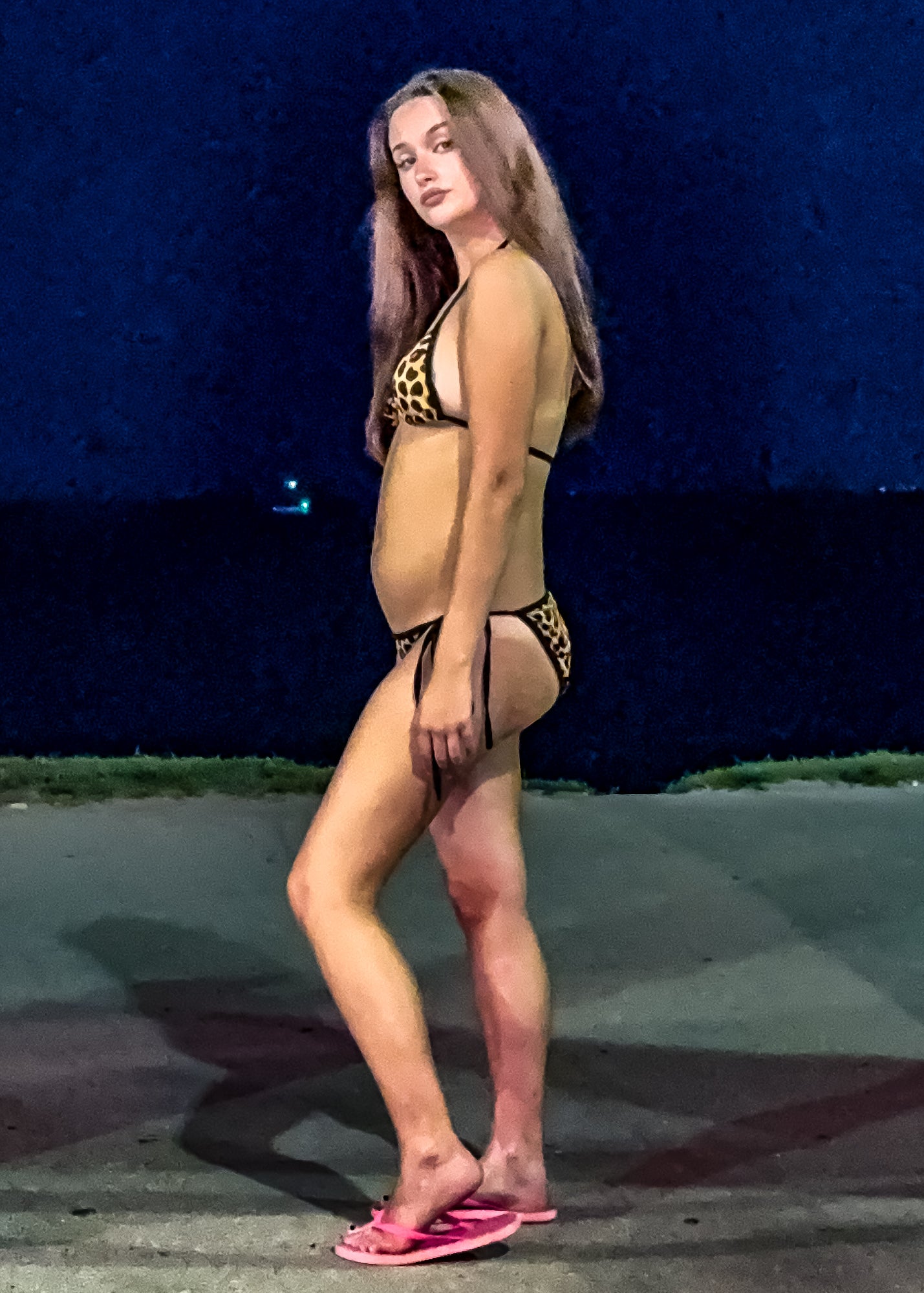 Cheetah Print Two-Piece Bikini Set