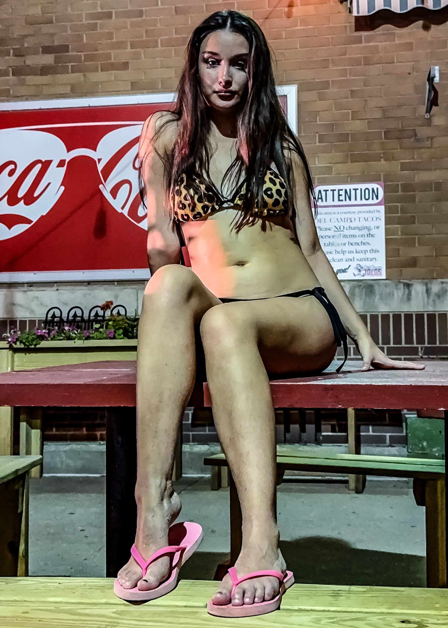 Cheetah Print Two-Piece Bikini Set