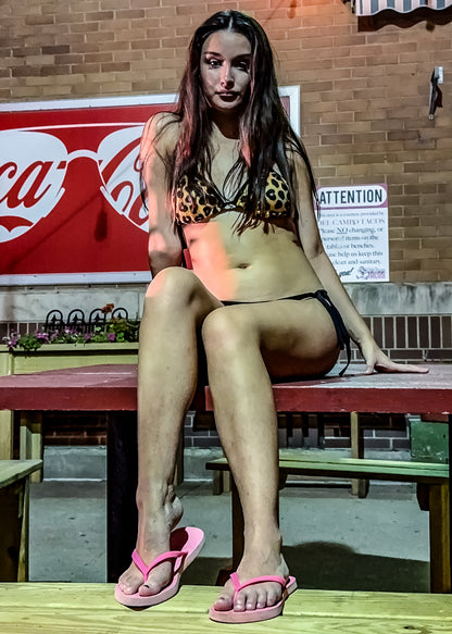 Cheetah Print Two-Piece Bikini Set