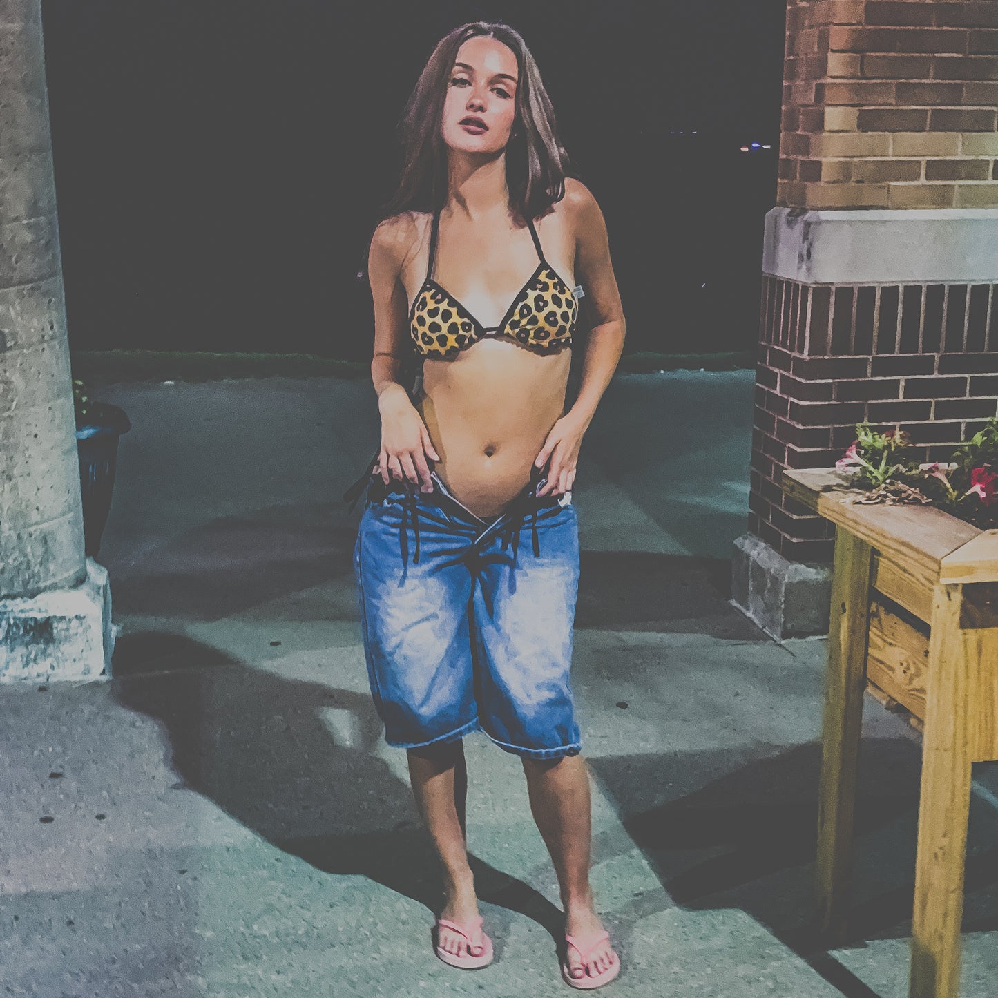 Cheetah Print Two-Piece Bikini Set