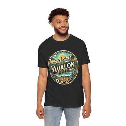 Elegant Avalon Men's Raglan T-Shirt