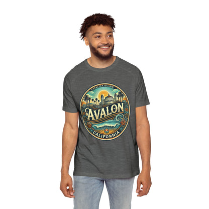 Elegant Avalon Men's Raglan T-Shirt